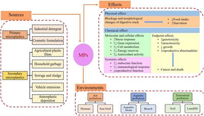 Identification and Quantification of Microplastics in Aquaculture Environment